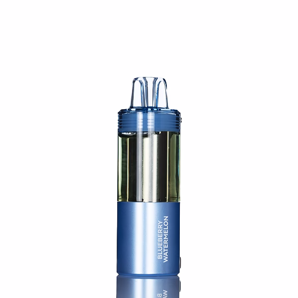 Foger-Switch-Pro-30K-Blueberry-Watermelon
